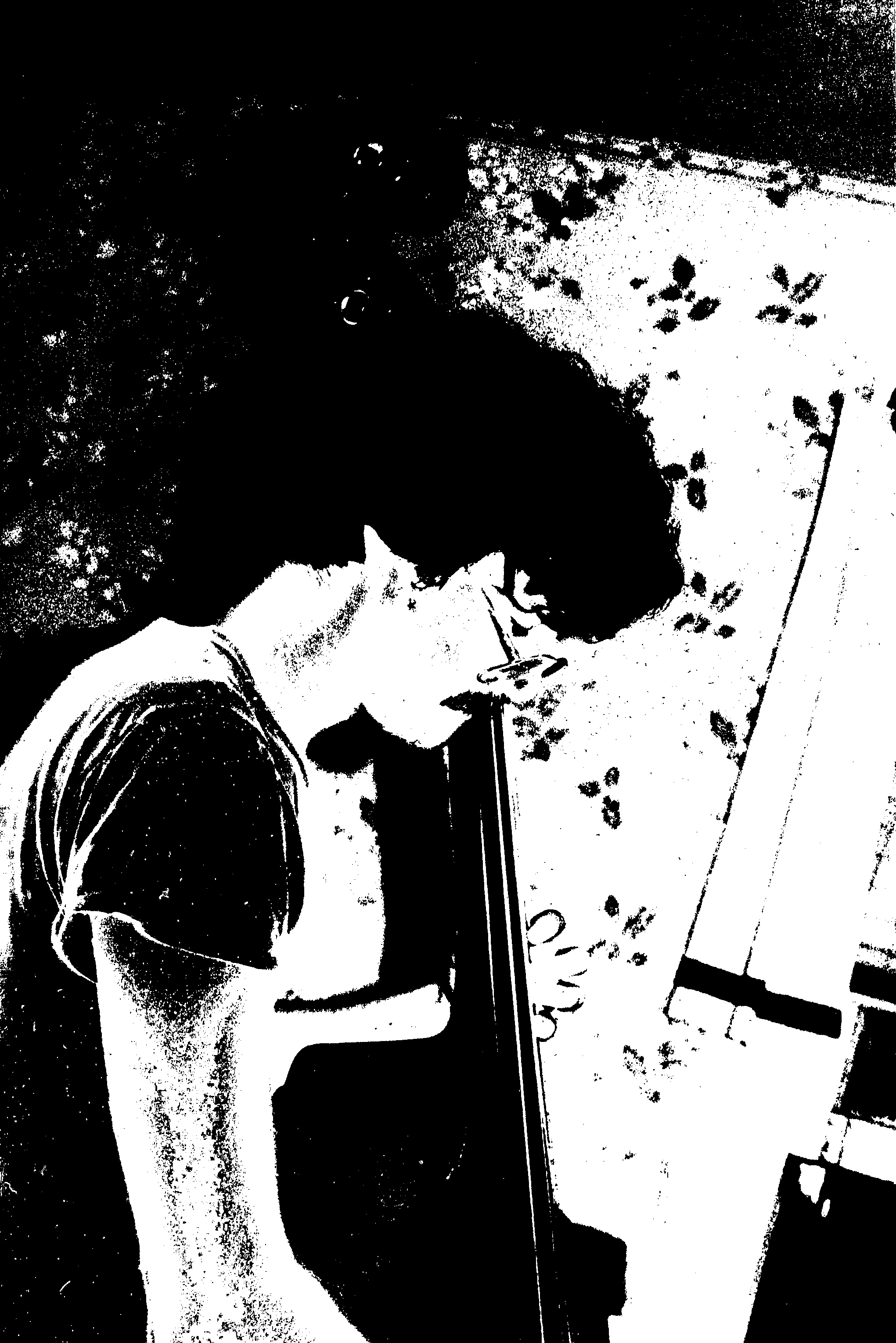 Jabez McC playing bass